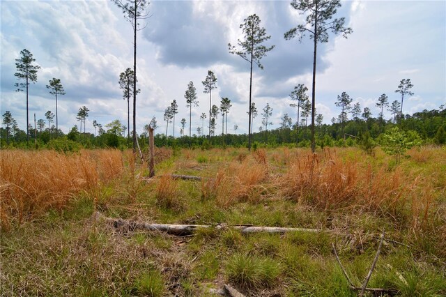 99th Ln, Live Oak, FL 32060