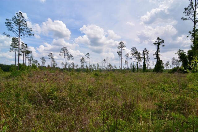 99th Ln, Live Oak, FL 32060