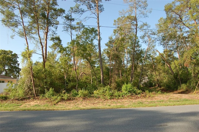 Sw 129 Place 7, Ocala, FL 34473 - photo 1