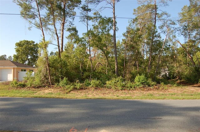 Sw 129 Place 7, Ocala, FL 34473 - photo 2