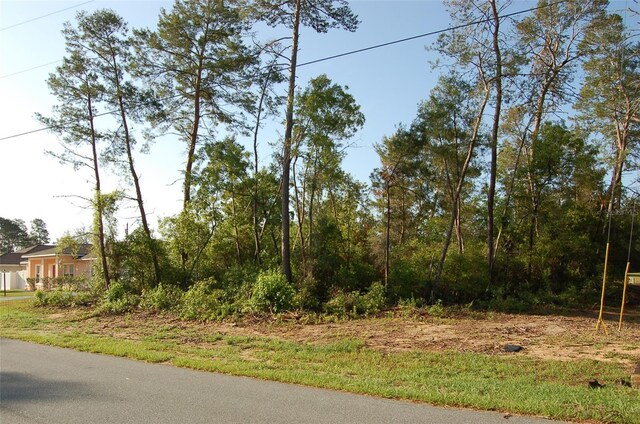 Sw 129 Place 7, Ocala, FL 34473 - photo 3
