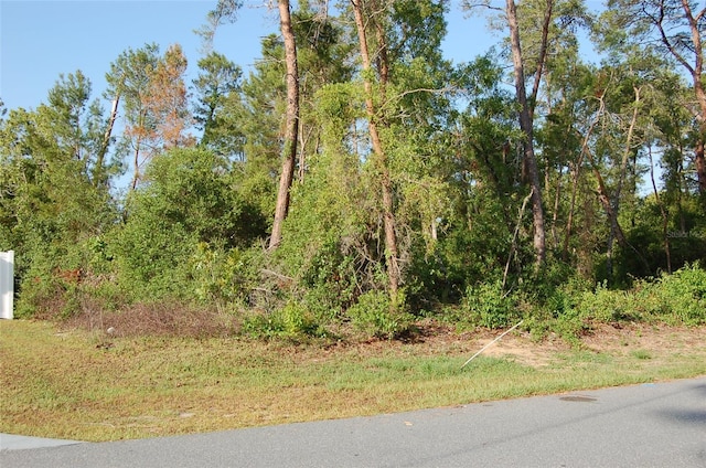 Sw 129 Place 7, Ocala, FL 34473 - photo 7