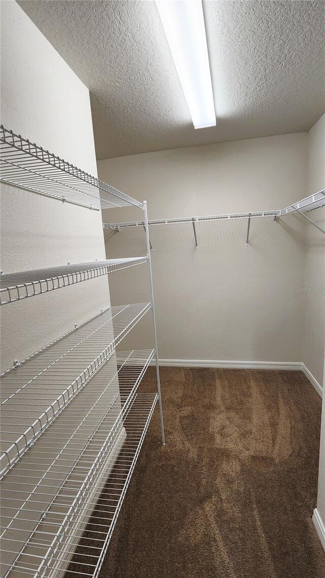 15407 SW 59th Avenue Rd, Ocala, FL 34473 - spacious closet featuring carpet