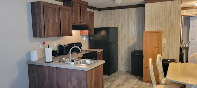 15951 NW 44th Avenue Rd, Reddick, FL 32686 - kitchen with under cabinet range hood, a sink, light wood-style floors, a peninsula, and light countertops