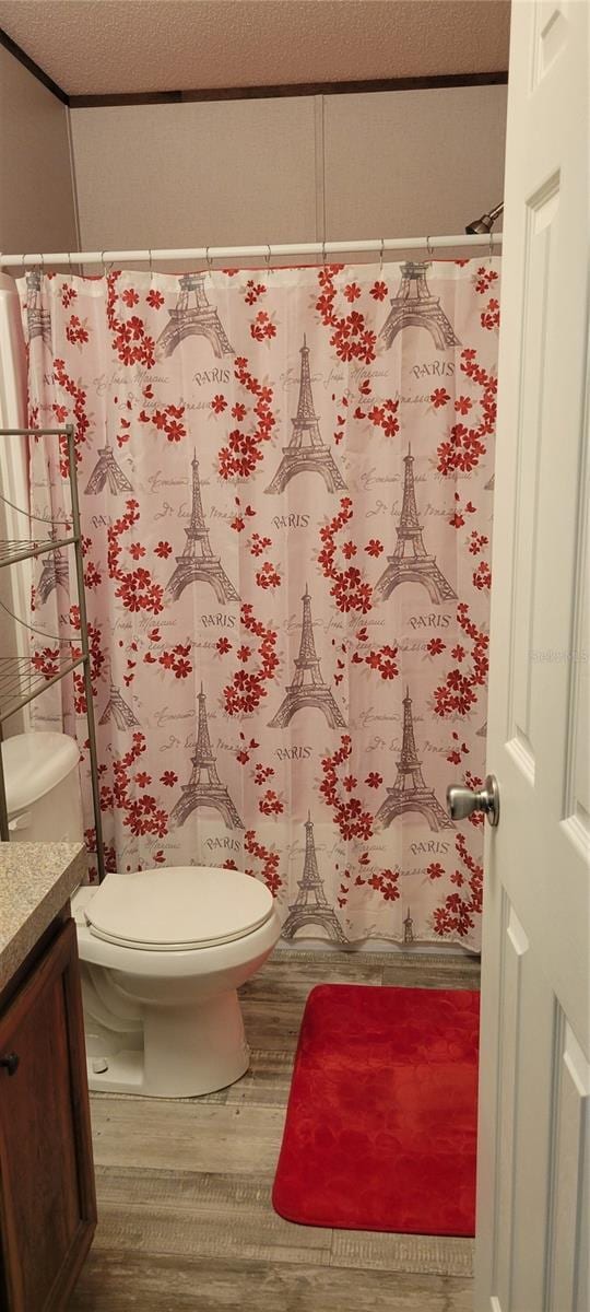 15951 NW 44th Avenue Rd, Reddick, FL 32686 - bathroom featuring toilet, vanity, and a shower with shower curtain