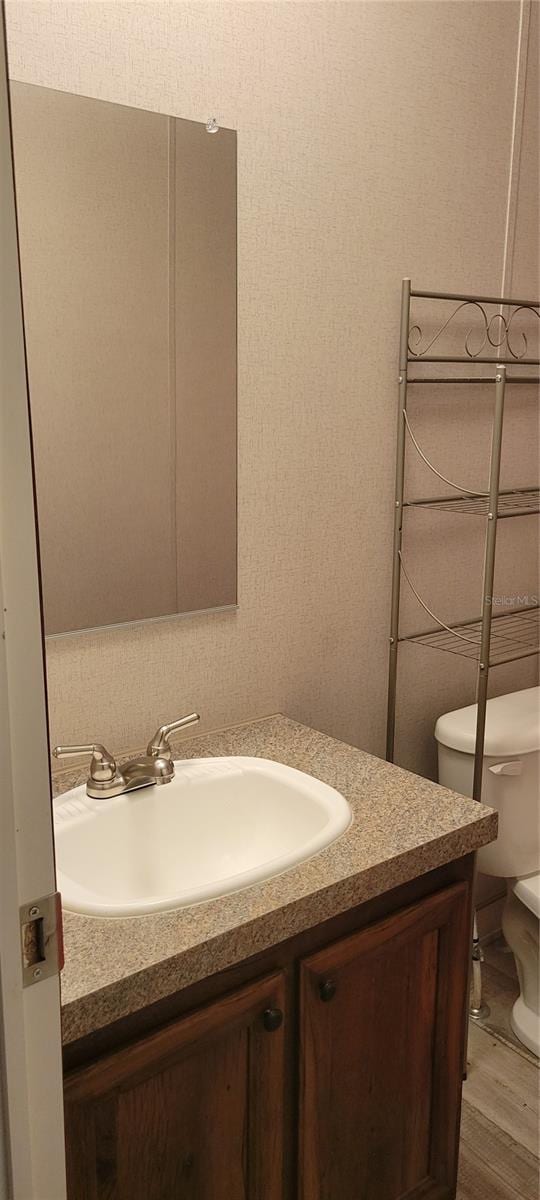 15951 NW 44th Avenue Rd, Reddick, FL 32686 - bathroom with vanity, toilet, and wood finished floors