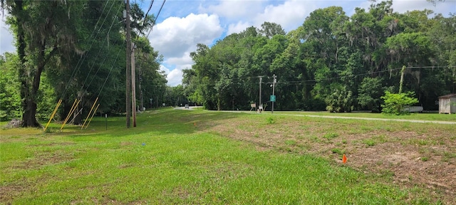15951 NW 44th Avenue Rd, Reddick, FL 32686 - surrounding community featuring a lawn
