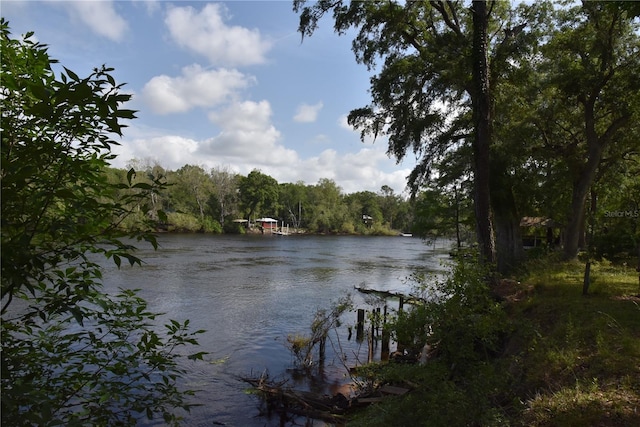 3019 NE 709th Ave, Old Town, FL 32680 - photo 2