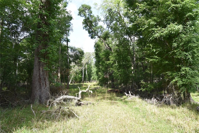 3019 NE 709th Ave, Old Town, FL 32680 - photo 42