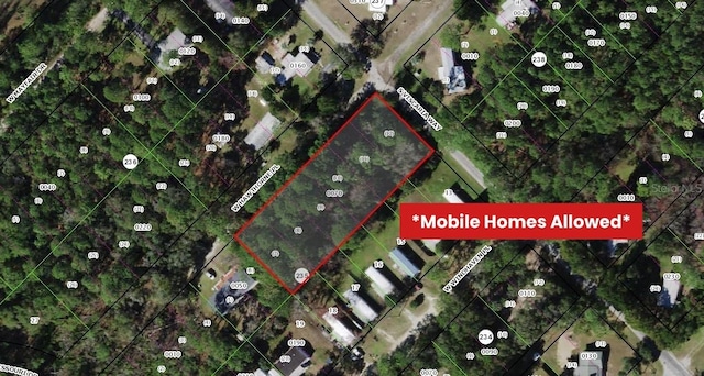 8058 W Hawthorne Pl, Homosassa, FL 34448 - photo 1