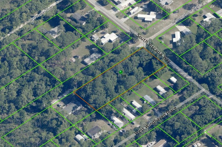 8058 W Hawthorne Pl, Homosassa, FL 34448 - photo 3
