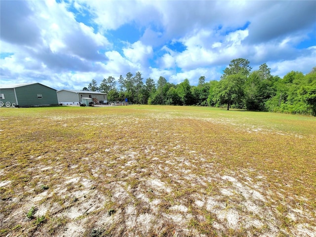 7030 SE 120th Ct, Morriston, FL 32668 - view of yard