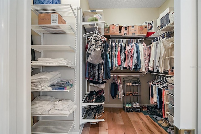 8545 SE 168th Kittredge Loop, The Villages, FL 32162 - spacious closet with wood finished floors