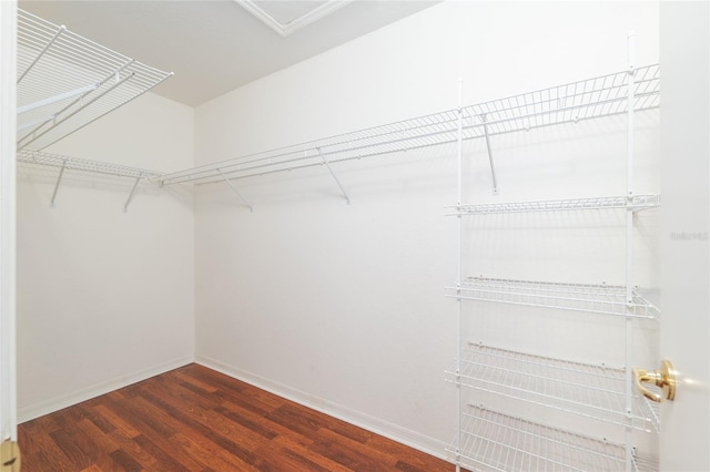 11146 SW 68th Ct, Ocala, FL 34476 - walk in closet with wood finished floors