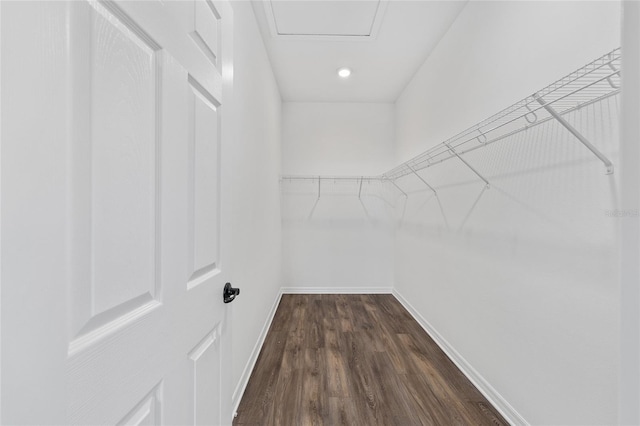 10347 SW 99th Ln, Ocala, FL 34481 - walk in closet featuring dark wood-type flooring