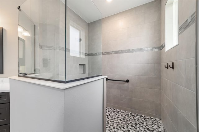 10082 SW 82nd Place Rd, Ocala, FL 34481 - full bathroom featuring a walk in shower and vanity