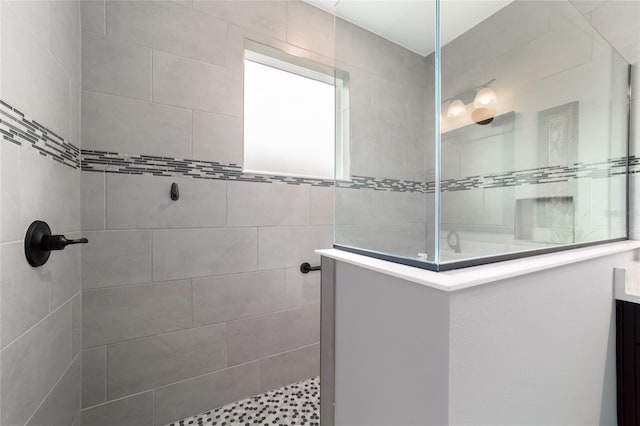 10082 SW 82nd Place Rd, Ocala, FL 34481 - bathroom featuring a walk in shower and vanity