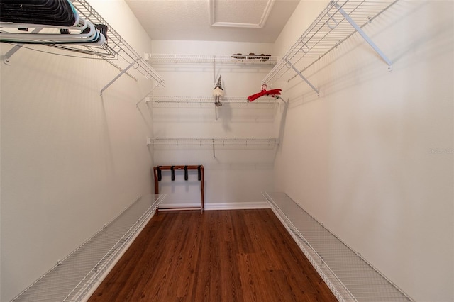 15691 SW 11th Court Rd, Ocala, FL 34473 - spacious closet featuring wood finished floors