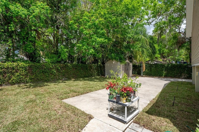 536 NW 7th Ave, Crystal River, FL 34428 - view of yard featuring a storage unit, an outdoor structure, a fenced backyard, and a patio