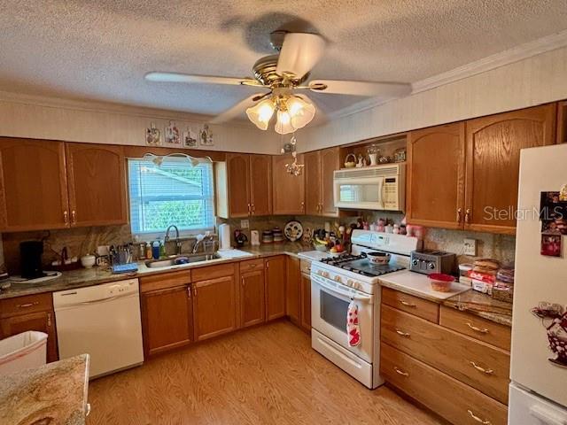4145 SE 3rd St, Ocala, FL 34471 - kitchen featuring crown molding, light wood-type flooring, white appliances, and a textured ceiling