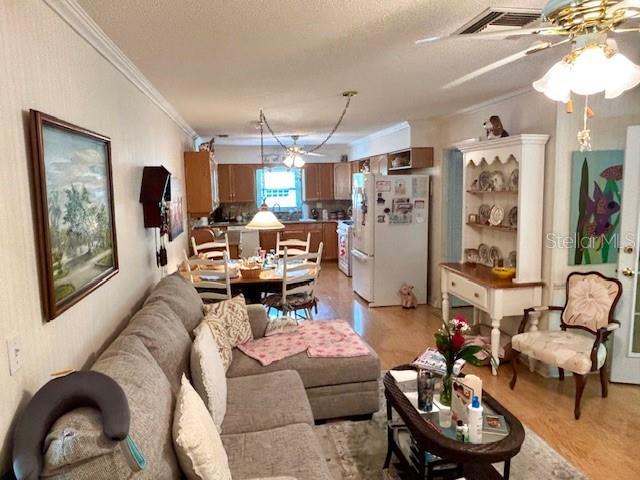 4145 SE 3rd St, Ocala, FL 34471 - living room with crown molding, ceiling fan, visible vents, and light wood-style flooring