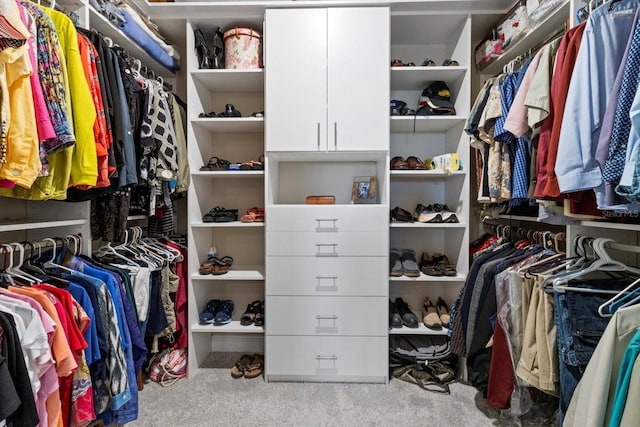 spacious closet featuring carpet floors