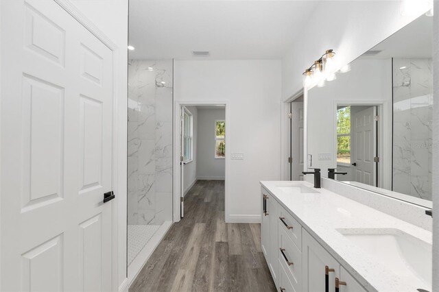 full bathroom with double vanity, plenty of natural light, and a sink