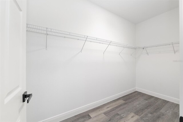 walk in closet with dark wood-style floors