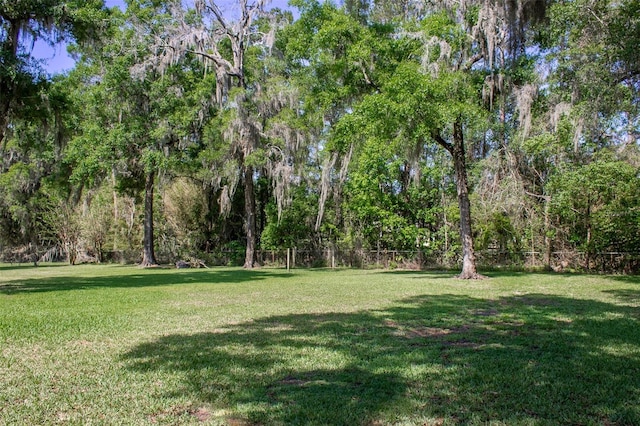 8950 SE 17th Ct, Ocala, FL 34480 - photo 52