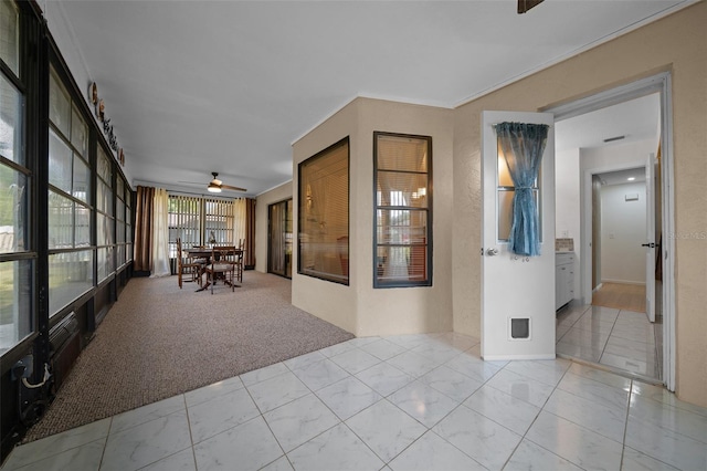 sunroom featuring carpet