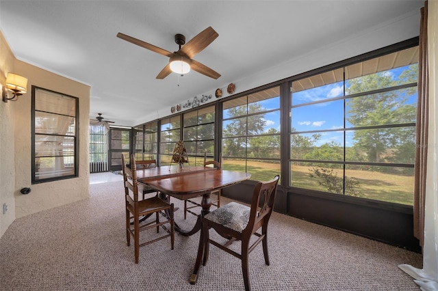 sunroom featuring plenty of natural light, carpet flooring, and ceiling fan