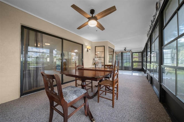 sunroom featuring carpet floors and a textured wall