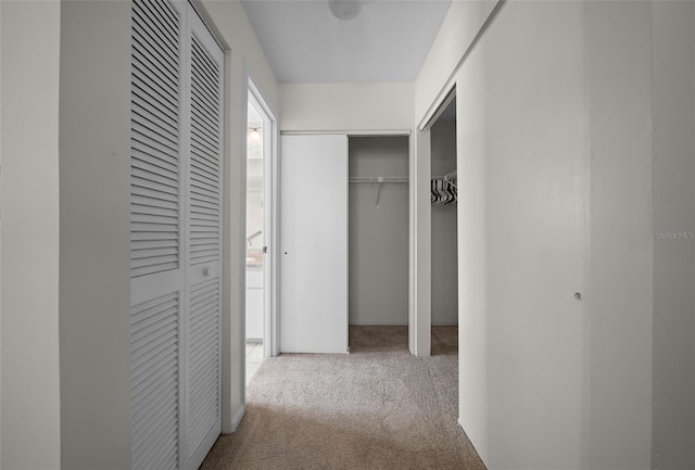 hall featuring carpet