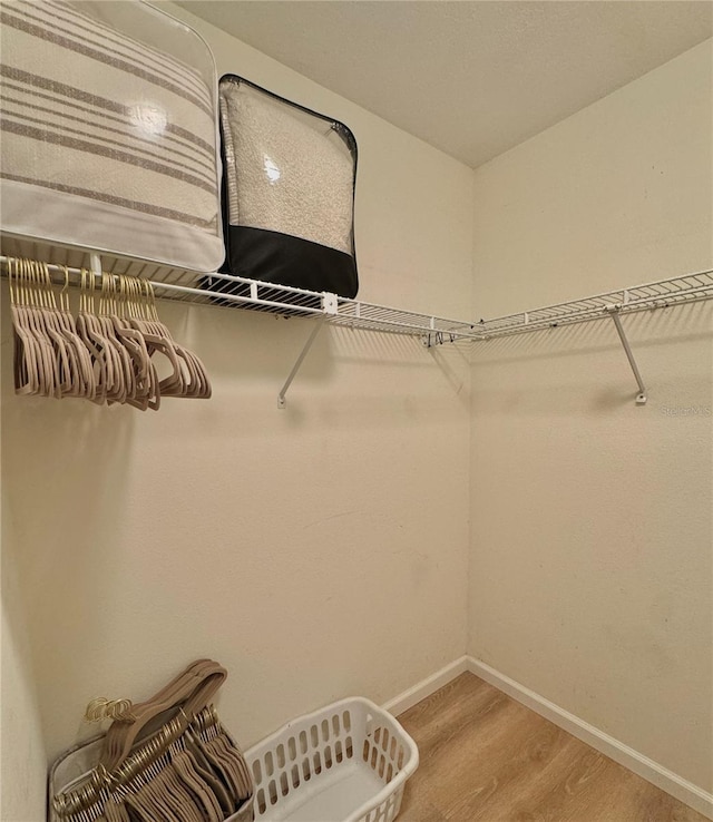 spacious closet with light wood-type flooring