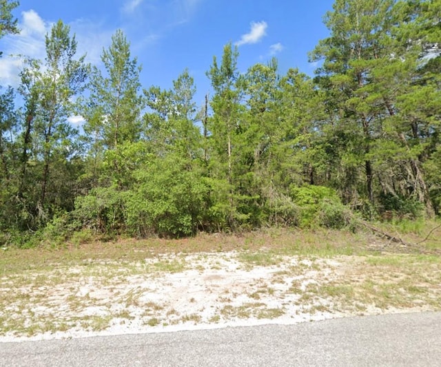 TBD Fisher Rd, Ocklawaha, FL 32179