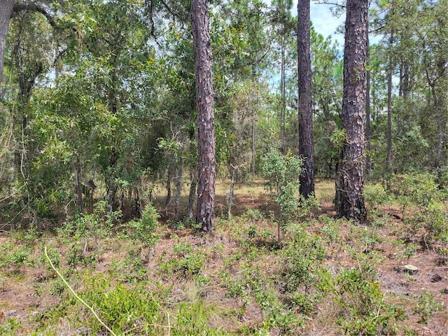 000 NW Ridgewood Dr, Dunnellon, FL 34431