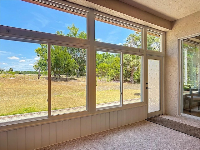 doorway to outside with carpet flooring