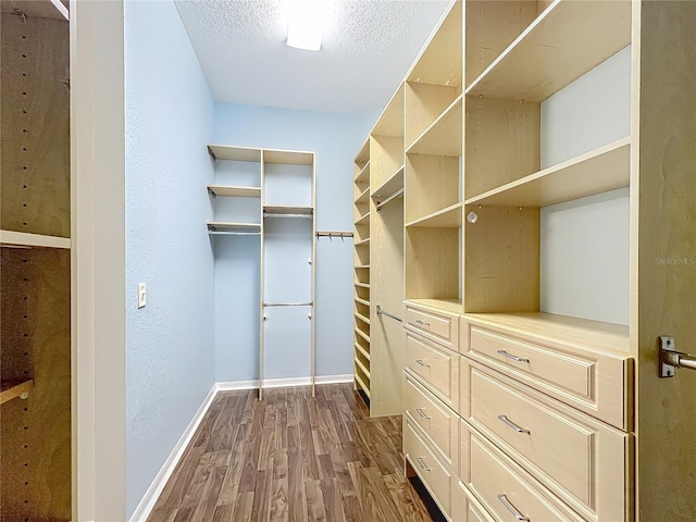 walk in closet with dark wood-style flooring