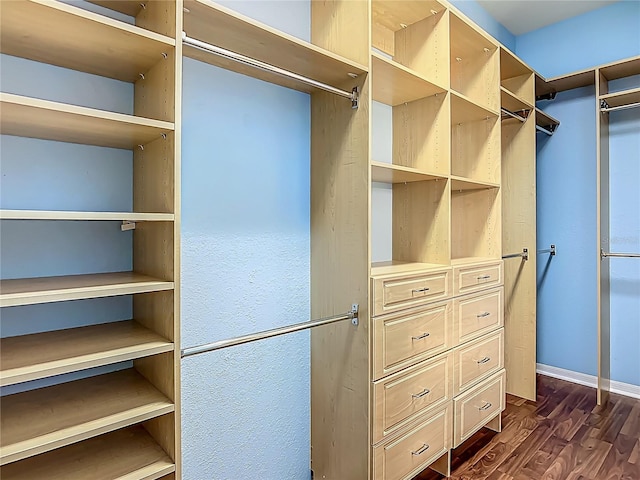 walk in closet featuring dark wood finished floors