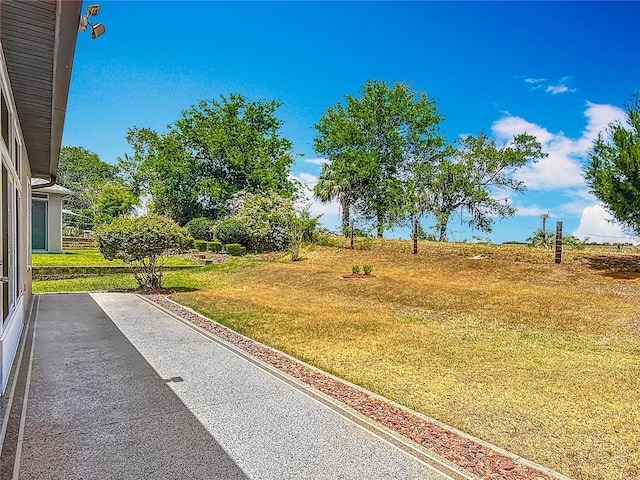 view of yard featuring a patio area