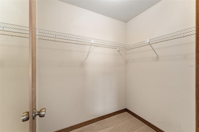 14555 SE 98th Ave, Summerfield, FL 34491 - photo 28