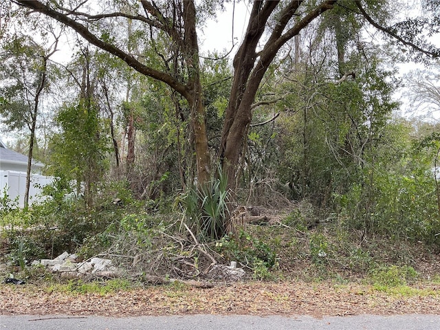 0 SE 137th Pl, Summerfield, FL 34491