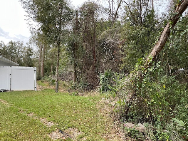 0 SE 137th Pl, Summerfield, FL 34491