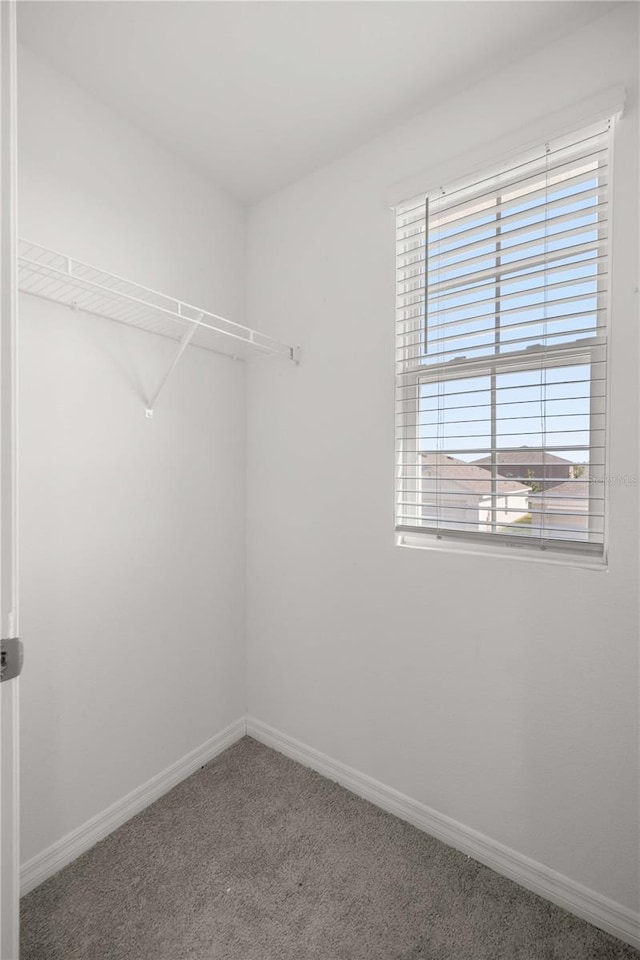 walk in closet with carpet