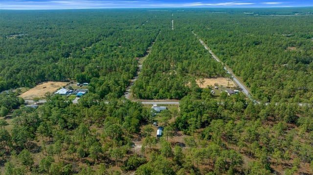 23737 NW Mallard Ave, Dunnellon, FL 34431 - aerial view with a forest view