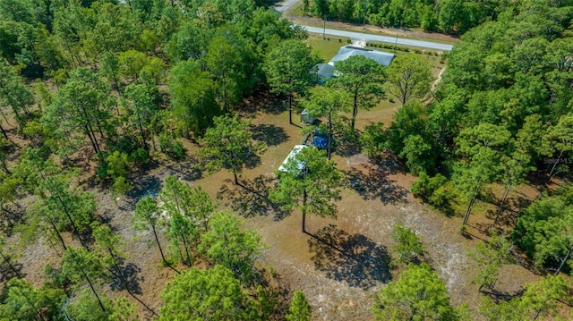23737 NW Mallard Ave, Dunnellon, FL 34431 - aerial view
