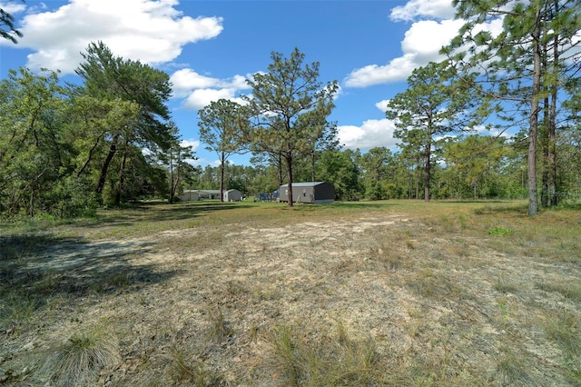 23737 NW Mallard Ave, Dunnellon, FL 34431 - view of yard
