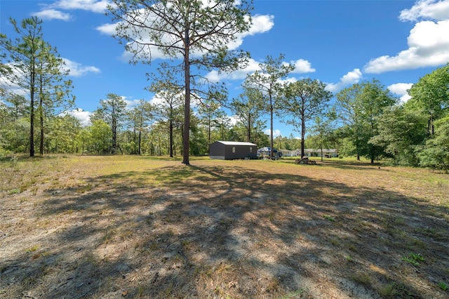 23737 NW Mallard Ave, Dunnellon, FL 34431 - view of yard featuring an outbuilding