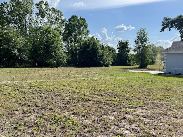 13430 NE 30th Ct, Anthony, FL 32617 - view of green lawn