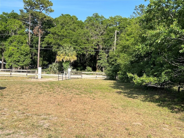 13430 NE 30th Ct, Anthony, FL 32617 - view of yard